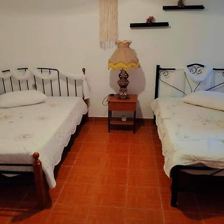 Villa Konstantina Nea Skioni Extérieur photo