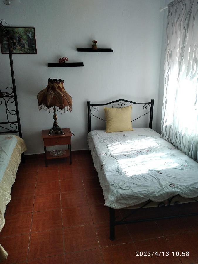 Villa Konstantina Nea Skioni Extérieur photo