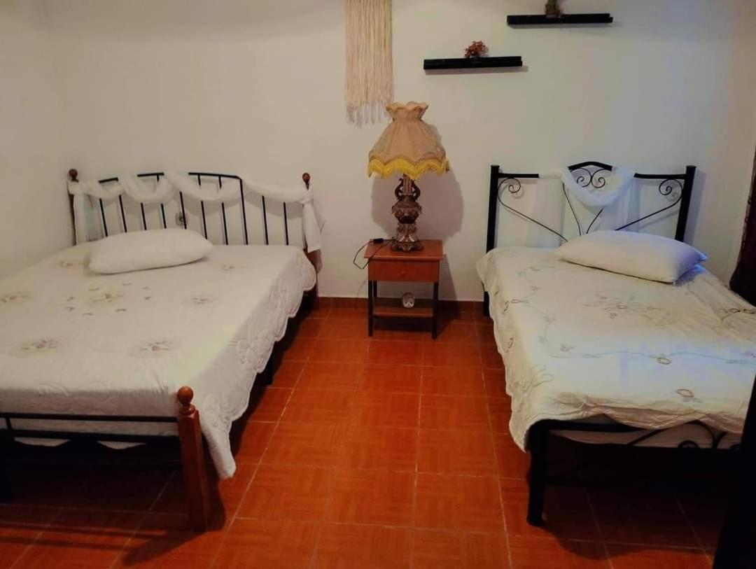 Villa Konstantina Nea Skioni Extérieur photo